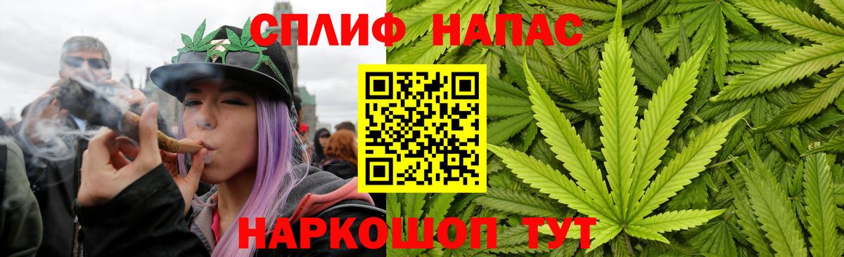 Каннабис тримм  Вход с VPN  Люберцы  Бошки Шишки планчик 